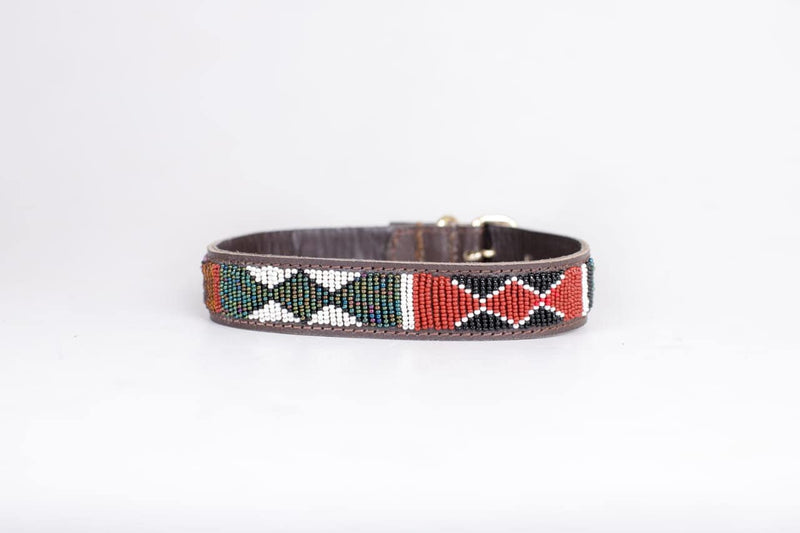 Hills: Handmade Beaded Maasai Dog Collar, African Dog Collar