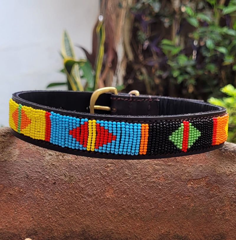 Colorful  Maasai Beaded Leather Dog Collar - Maasai Chief