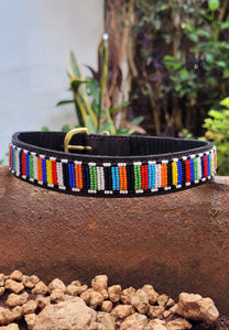 Maasai Beaded Leather Dog Collar (Rainbow) - Maasai Chief