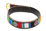 Maasai Beaded Leather Dog Collar - Maasai Chief