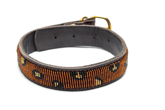 Maasai Beaded Leather Dog Collar - Maasai Chief