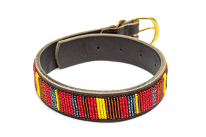 Maasai Beaded Leather Dog Collar - Maasai Chief