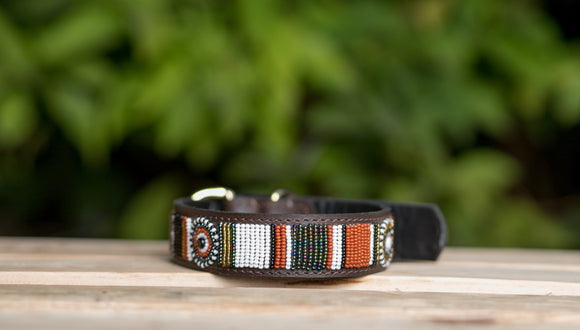 Maasai Beaded Leather Dog Collar - Maasai Chief