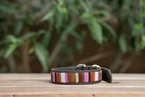 Maasai Beaded Leather Dog Collar - Maasai Chief